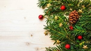 Best Rake For Pine Needles