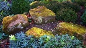How to Clean Up Pine Needles from Rocks